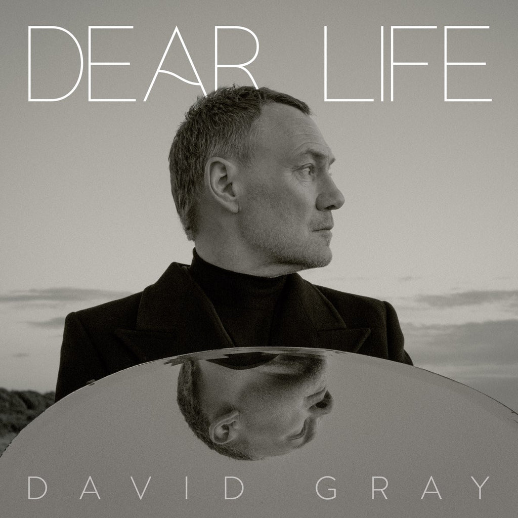 David Gray - Dear Life (2LP)(Green)