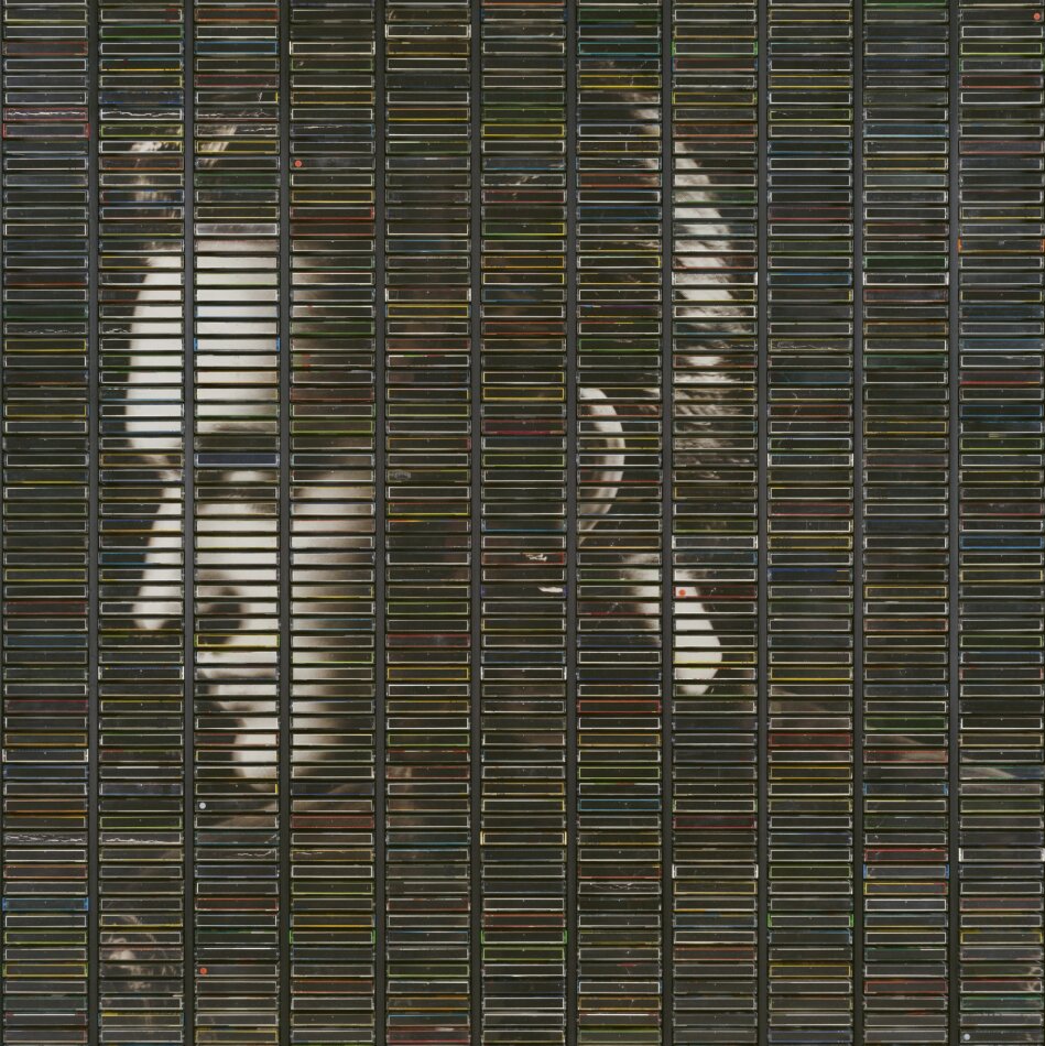 Stephan Eicher - Poussière D’or