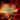 Signal Meridian - Signals In Autumn (CD)