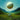 Tycho - Infinite Health (CD)