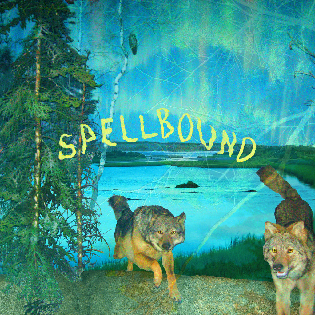 Boyscott - Spellbound (Coloured)