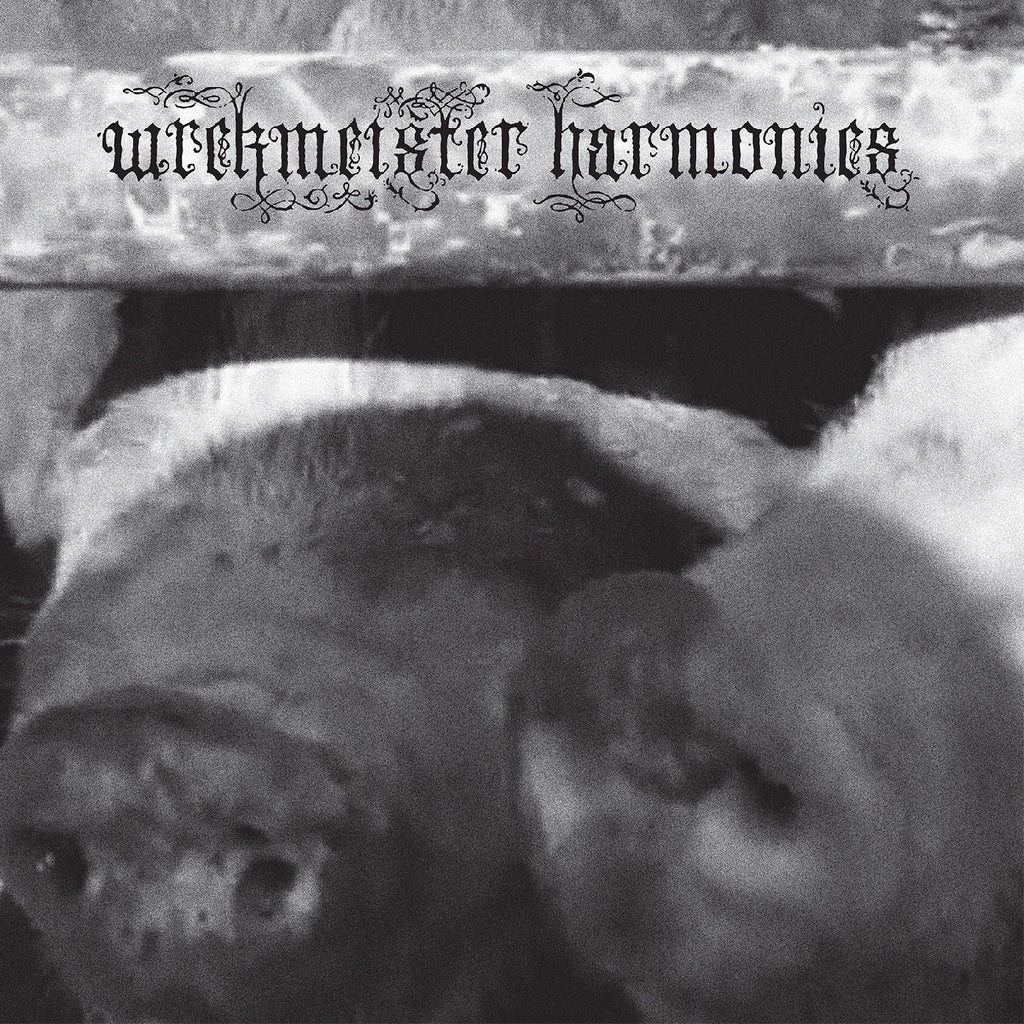 Wrekmeister Harmonies - Flowers In The Spring (Pink)