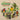 Various Artists - A Guide To The Birdsong Collection: Vol I & II (2LP)