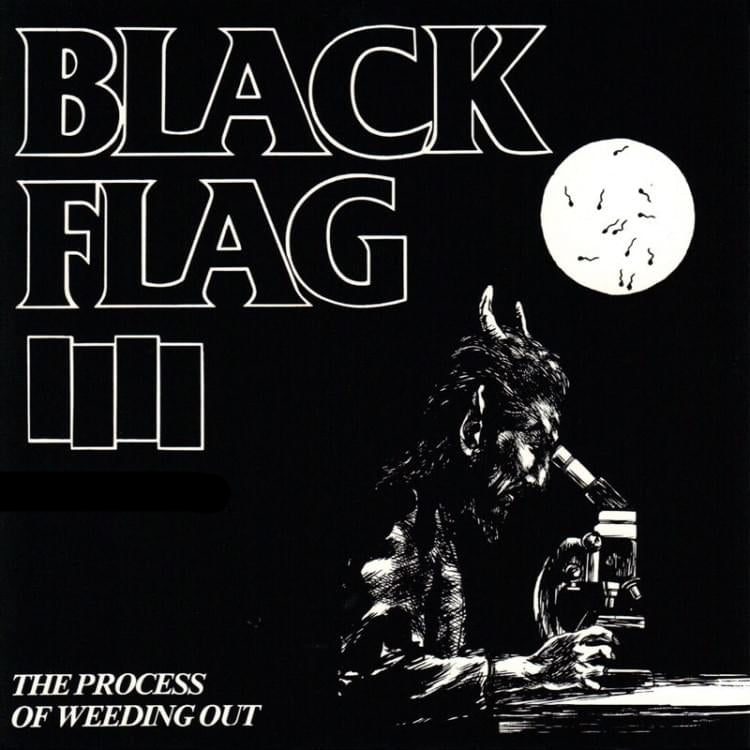 Black Flag - The Process Of Weeding Out