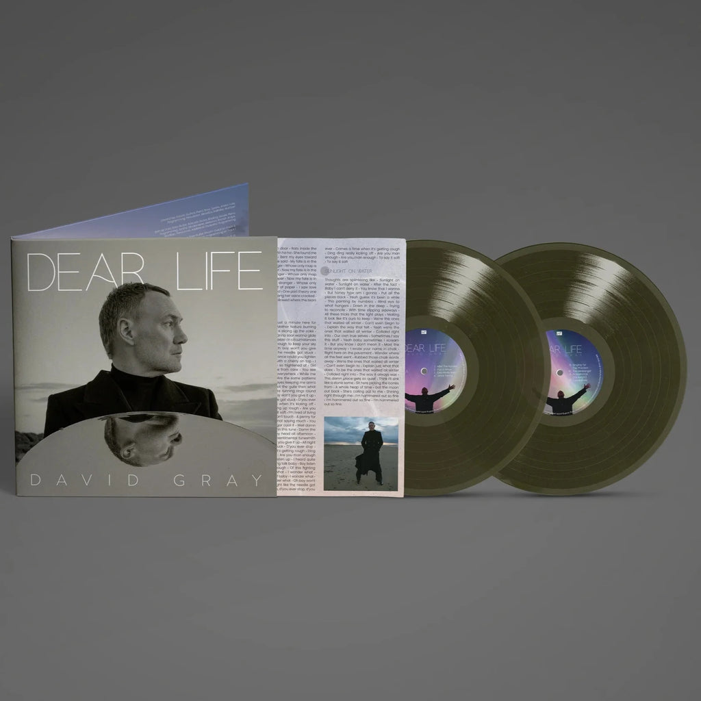 David Gray - Dear Life (2LP)(Green)