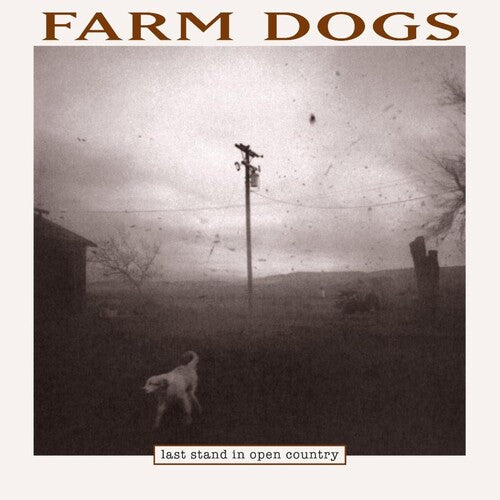 Farm Dogs - Last Stand In Open Country (2LP)