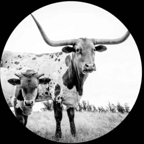 Mike Flanigin - West Texas Blues (Coloured)