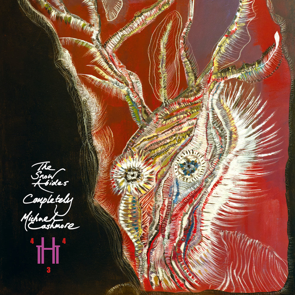 Michael Cashmore - The Snow Abides Completely (2LP)