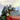 Various Artists - Kaiso Power