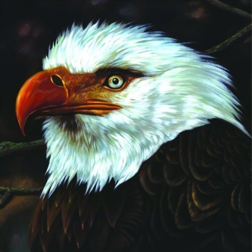 Mogwai - The Hawk Is Howling (2LP)(White)