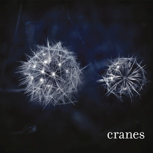 Cranes - Cranes (Coloured)