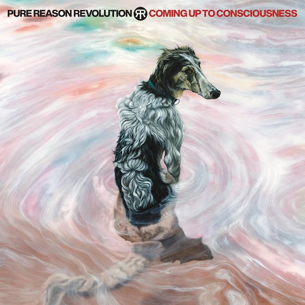 Pure Reason Revolution - Coming Up To Consciousness (Coloured)