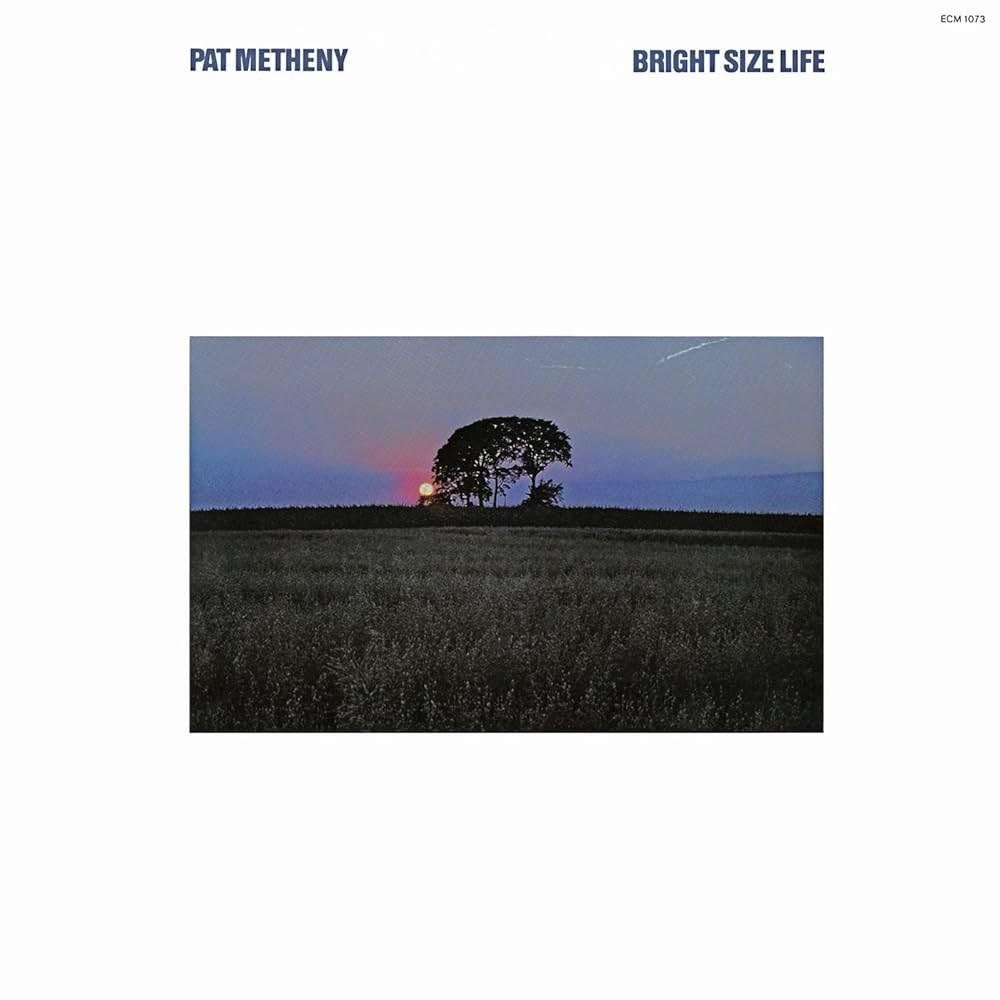 Pat Metheny - Bright Size Life