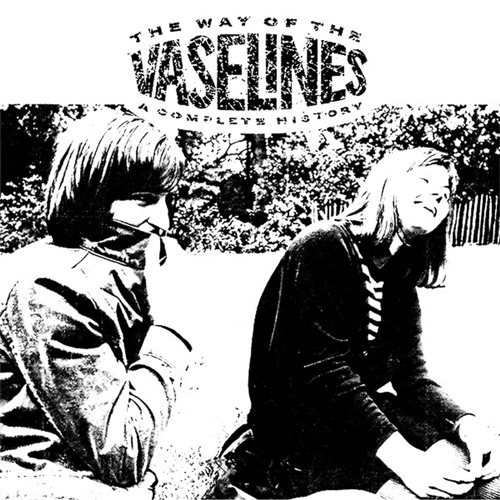 Vaselines - The Way Of The Vaselines (2LP)(Coloured)