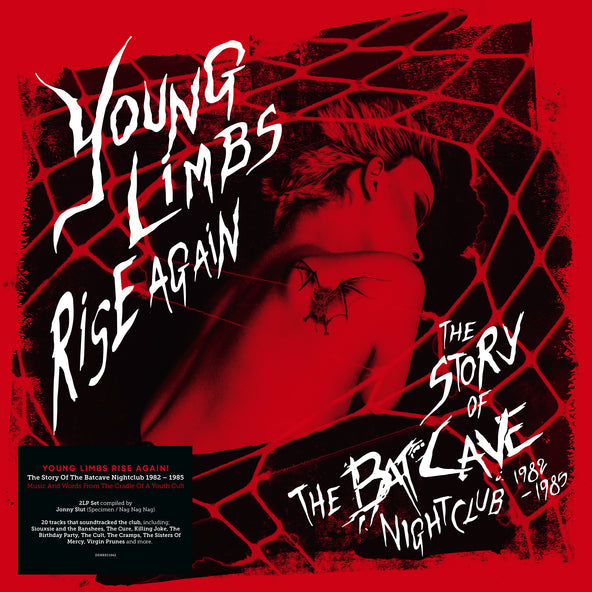 Various Artists - Young Limbs Rise Again (2LP)