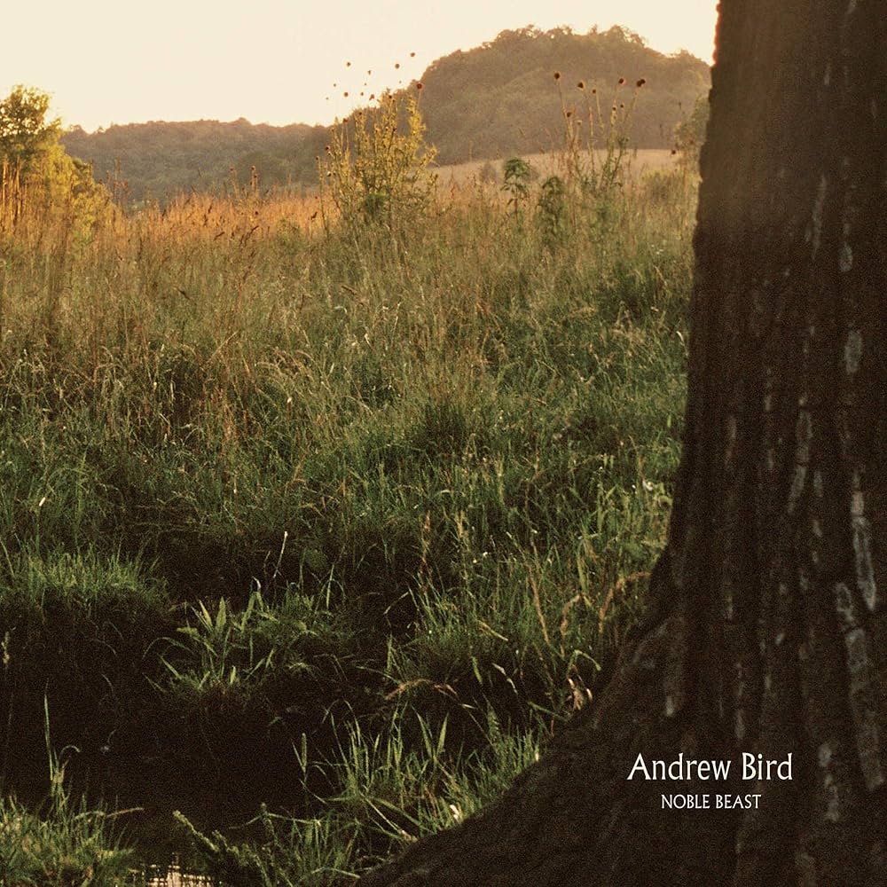 Andrew Bird - Noble Beast (2LP)
