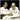 Yo-Yo Ma - Plays Ennio Morricone (2LP)(Coloured)