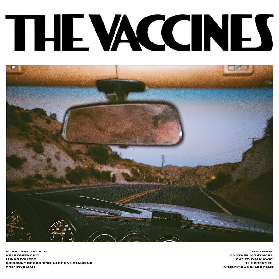 Vaccines - Pick-Up Full Of Pink Carnations (Pink)