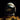 Falling In Reverse - Coming Home (CD)