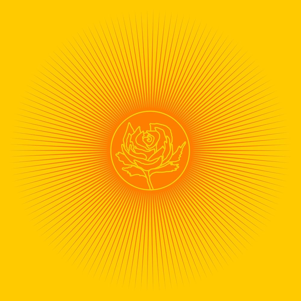 Ryan Adams & Cardinals - Easy Tiger (Orange)