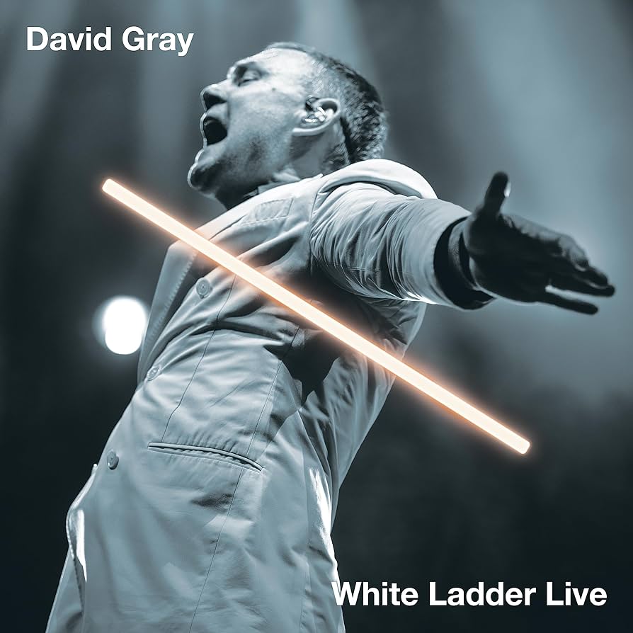 David Gray - White Ladder Live (2LP)
