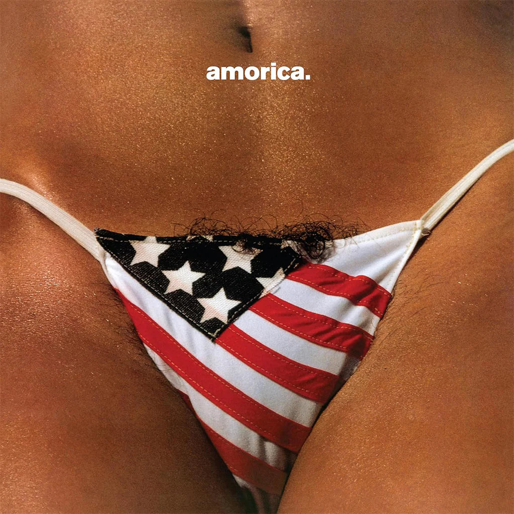 Black Crowes - Amorica (2LP)