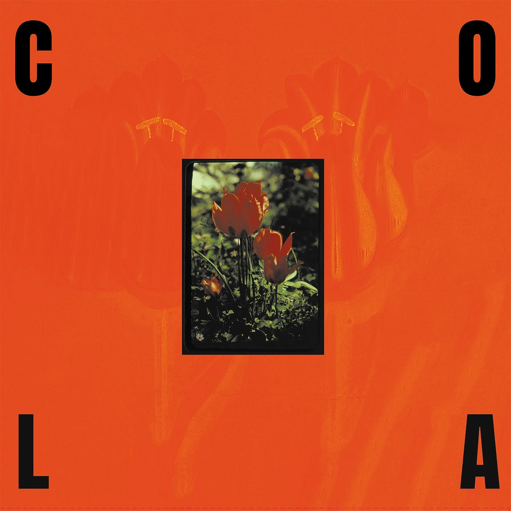 Cola - The Gloss (Green)
