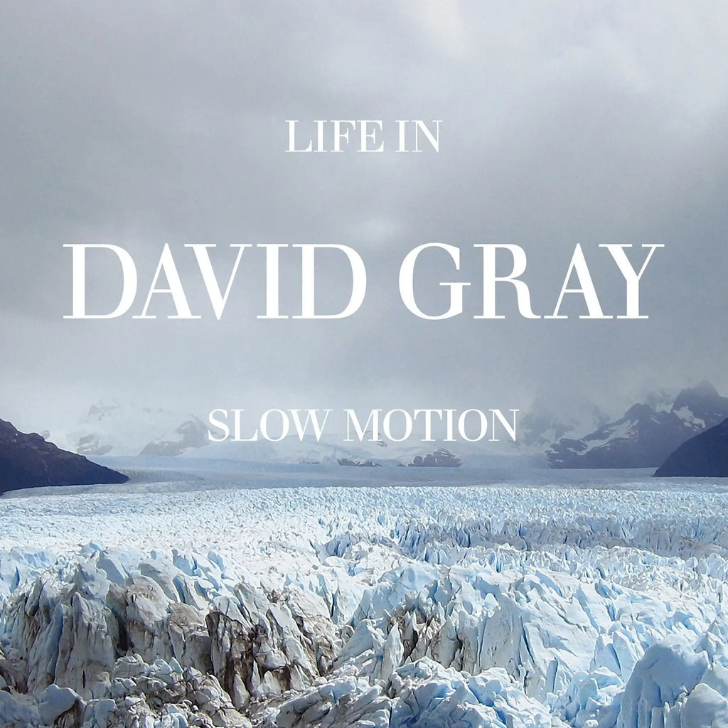 David Gray - Life In Slow Motion (Coloured)