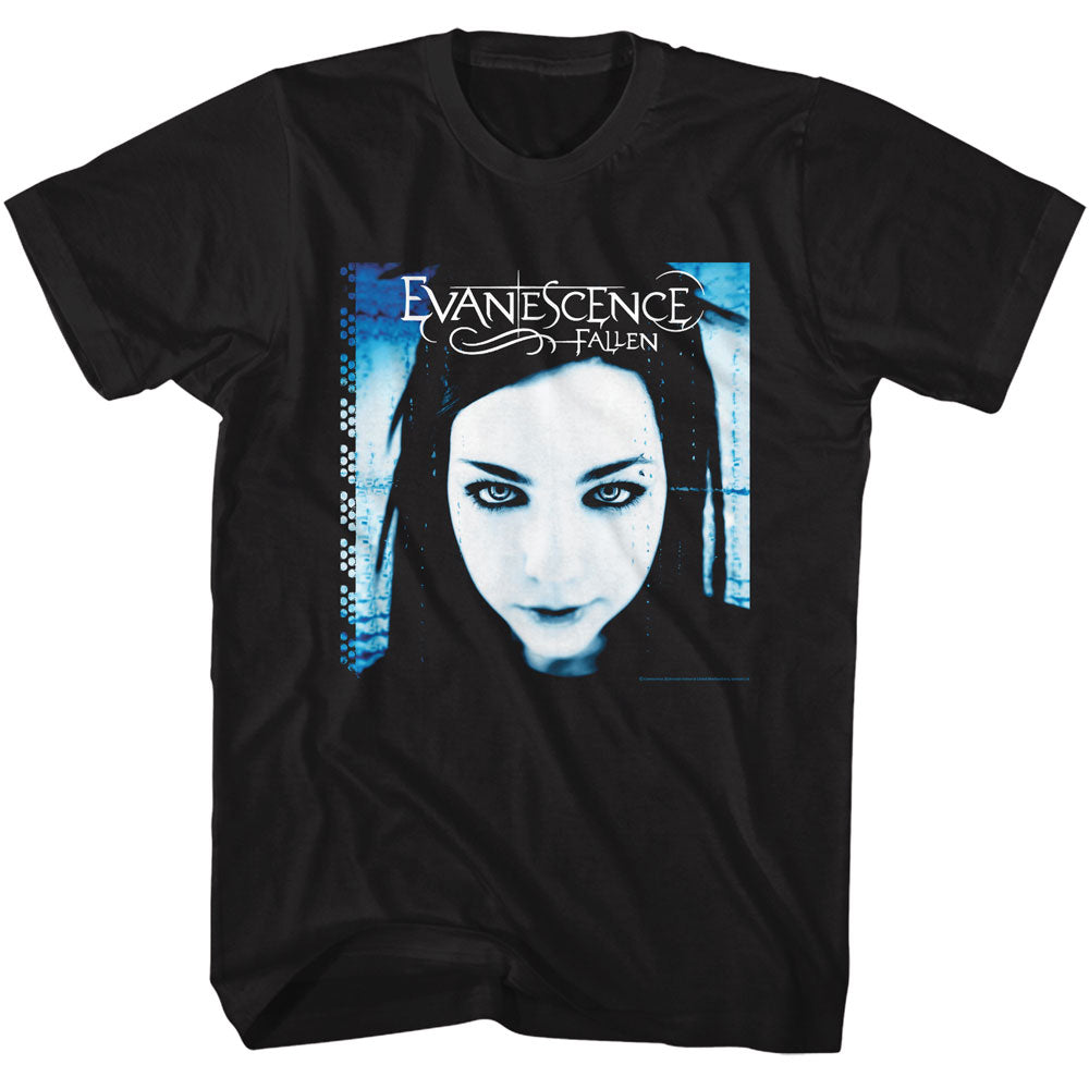 Evanescence - Fallen Artwork