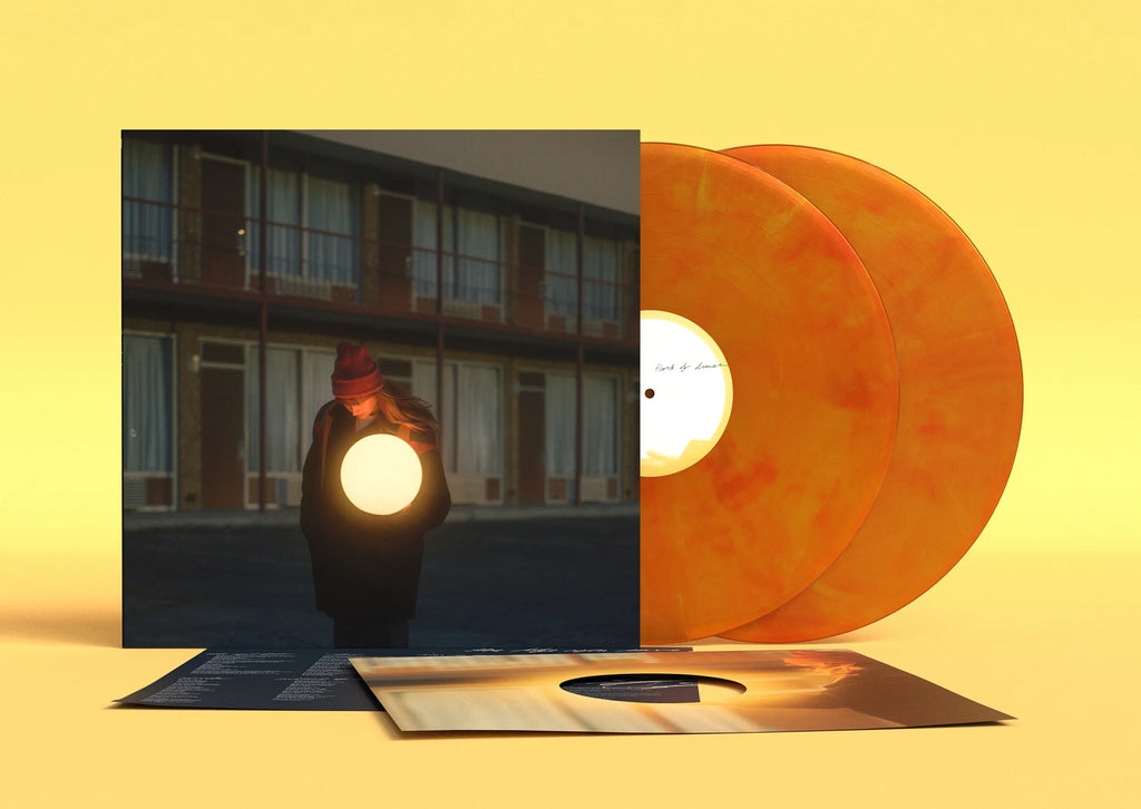 Flock Of Dimes - The Life You Save (2LP)(Coloured)
