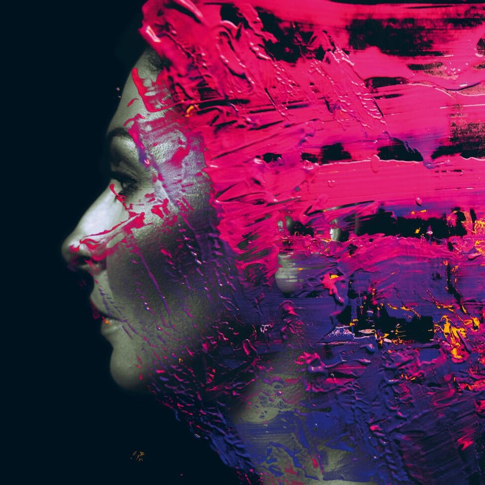 Steven Wilson - Hand Cannot Erase (2LP)