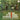 Roy Haynes - Out Of The Afternoon