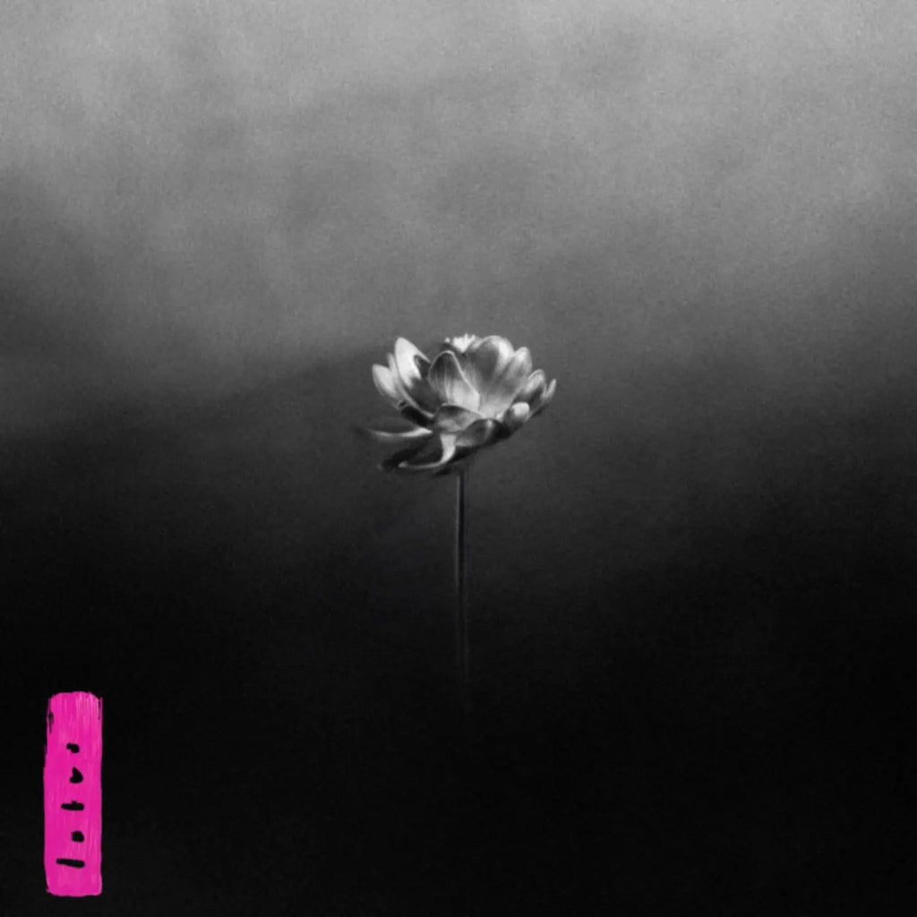 Little Simz - Lotus (CD)