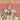 Meadows - Desert Walker (CD)
