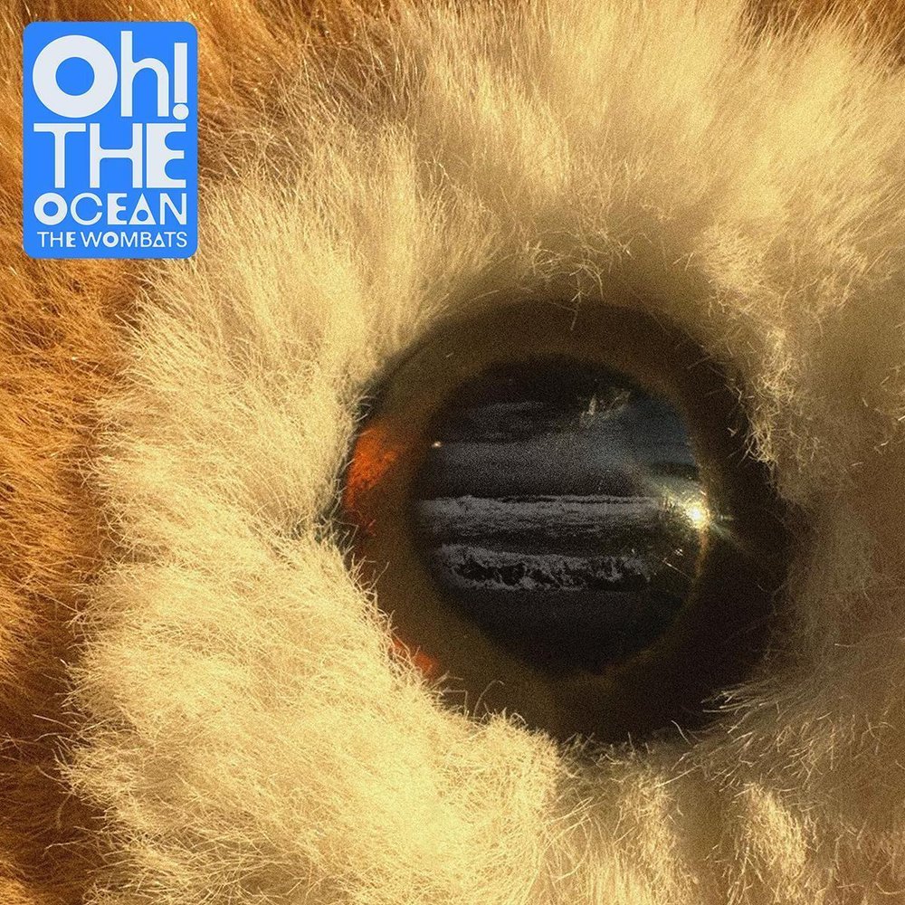 Wombats - Oh! The Ocean (Blue)
