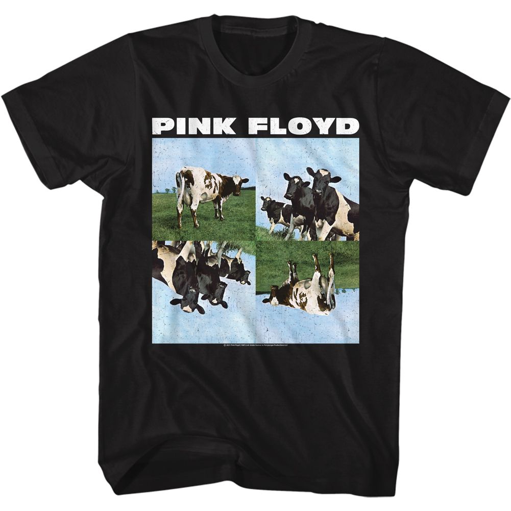 Pink Floyd - Cows