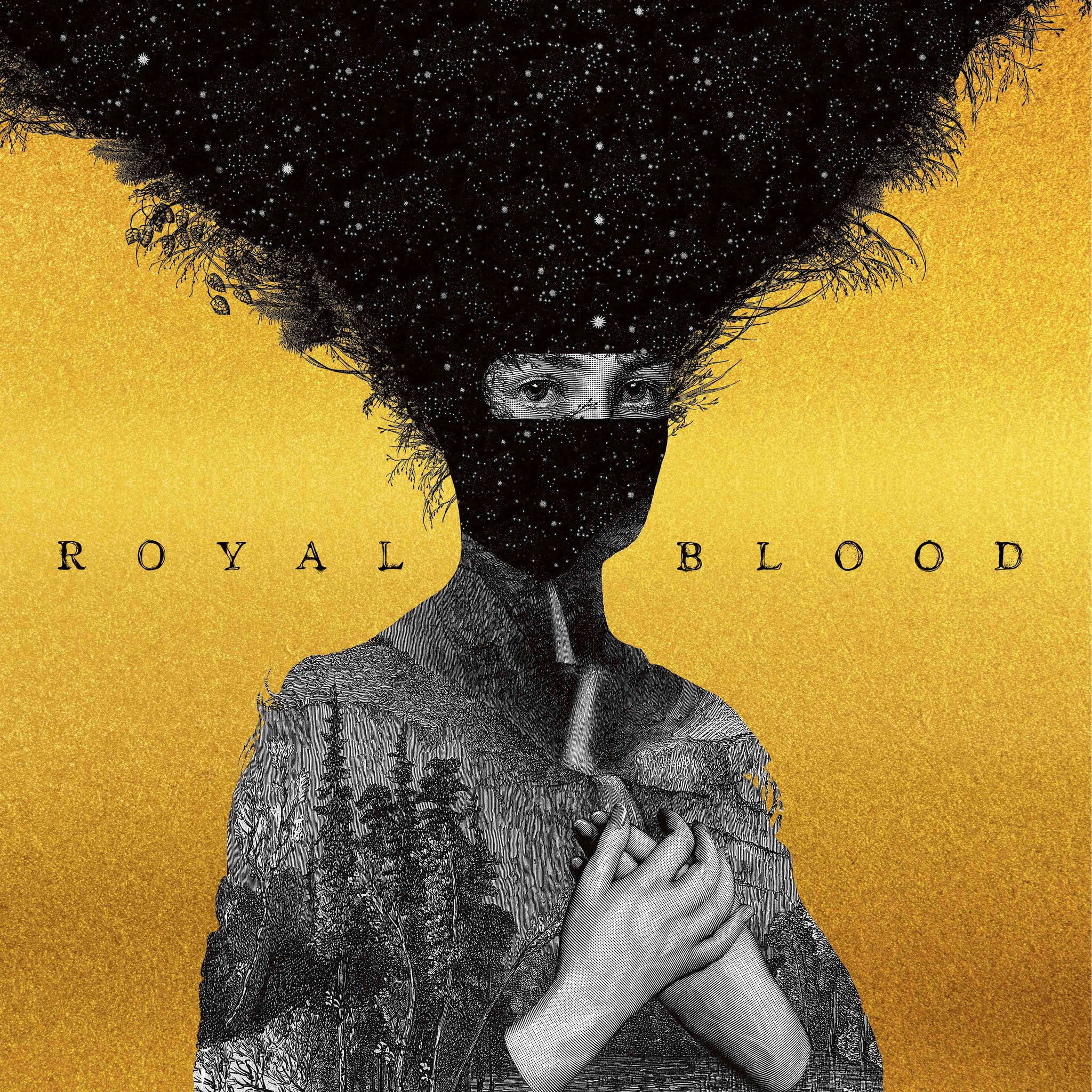 ロイヤルブラッド Royal Blood - Royal Blood (2LP)(Gold) – Le Noise
