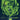OST - Re-Animator (Coloured)