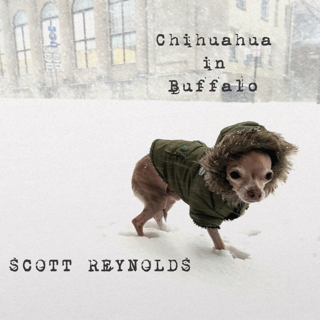 Scott Reynolds - Chihuahua In Buffalo (Coloured)