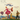 OST - The Sound Of Music (Coloured)