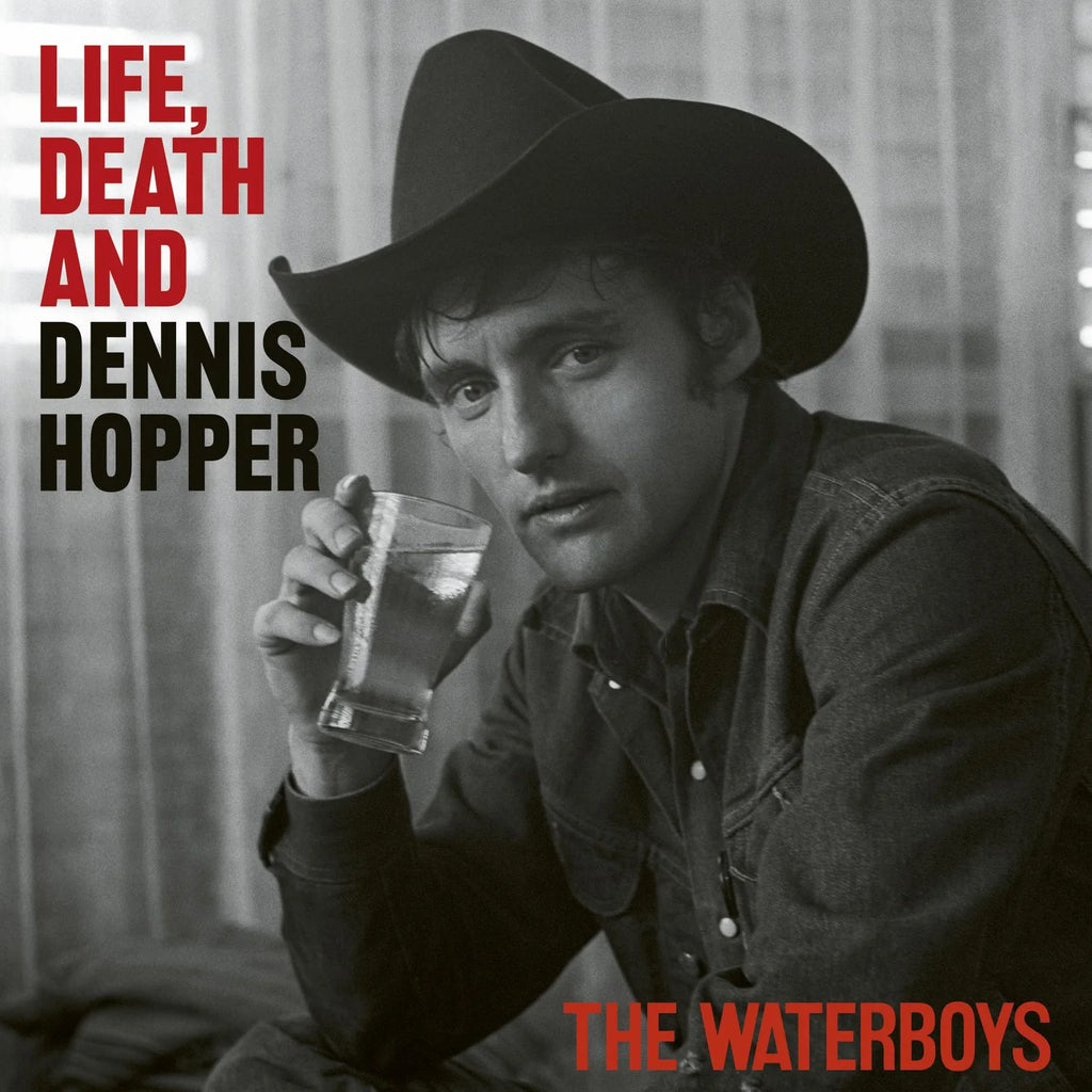 Waterboys - Life, Death & Dennis Hopper (2LP)