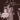 Iris DeMent - The Way I Should (Coloured)