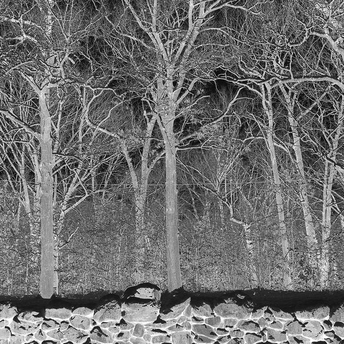 Pile - Sunshine And Balance Beams (Coloured)