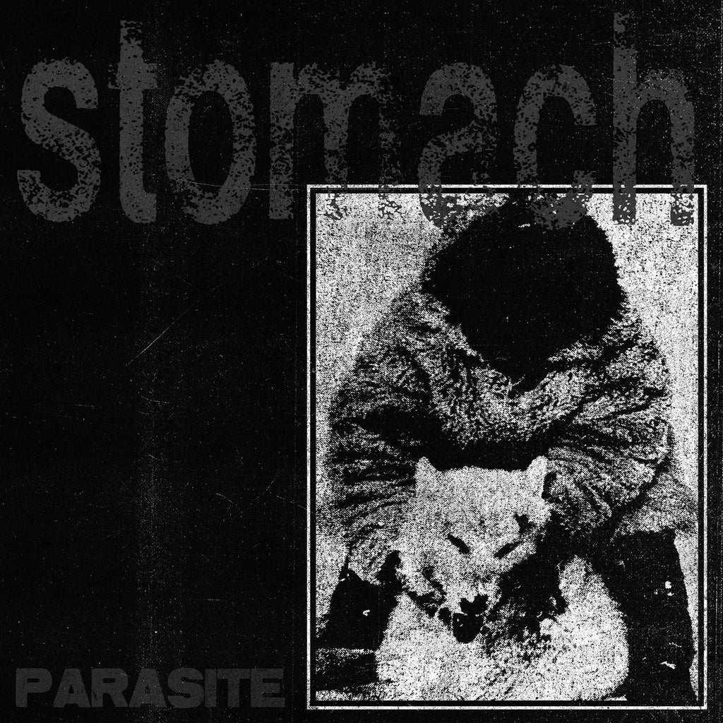 Stomach - Parasite