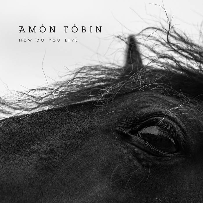 Amon Tobin - How Do You Live (2LP)