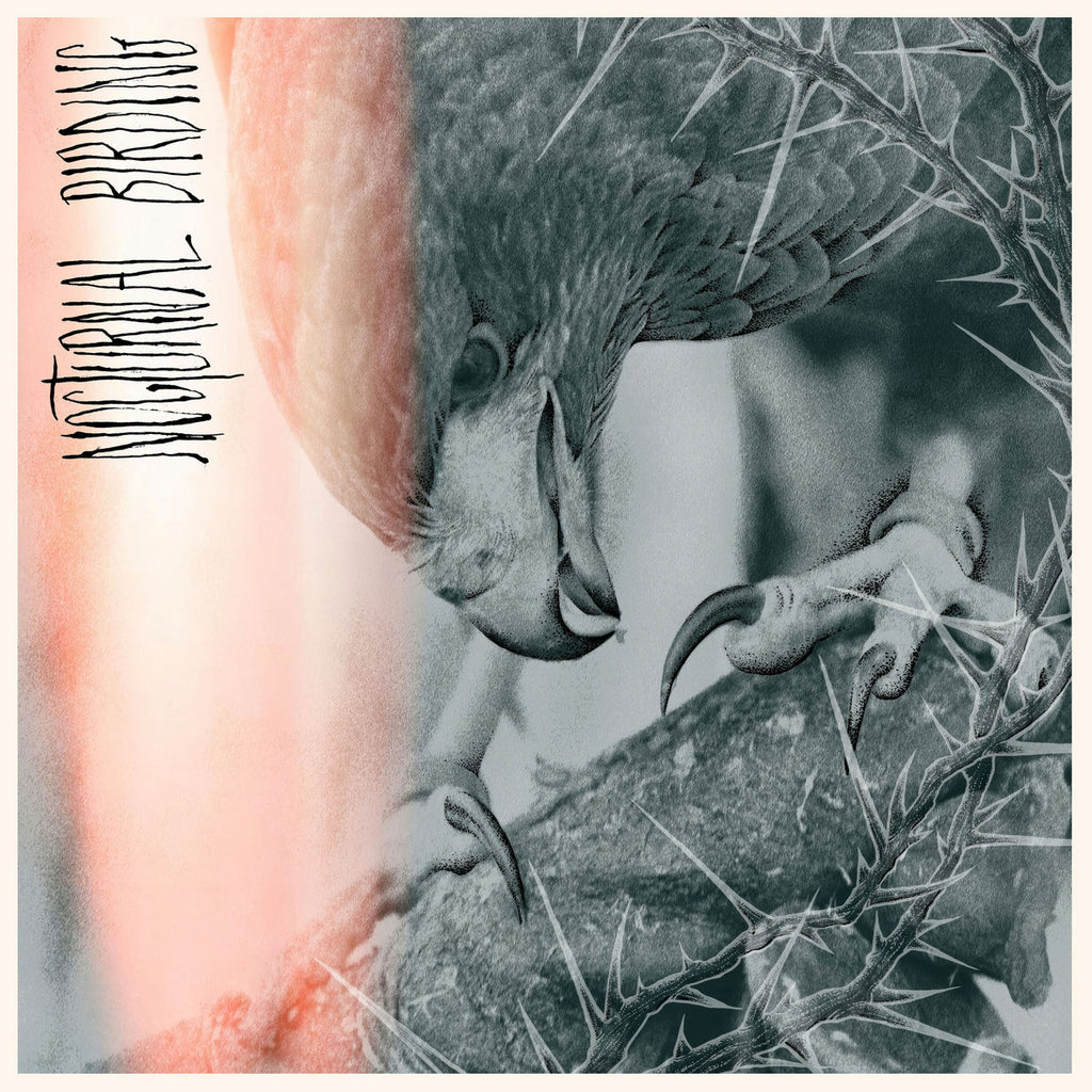 Author & Punisher - Nocturnal Birding (CD)