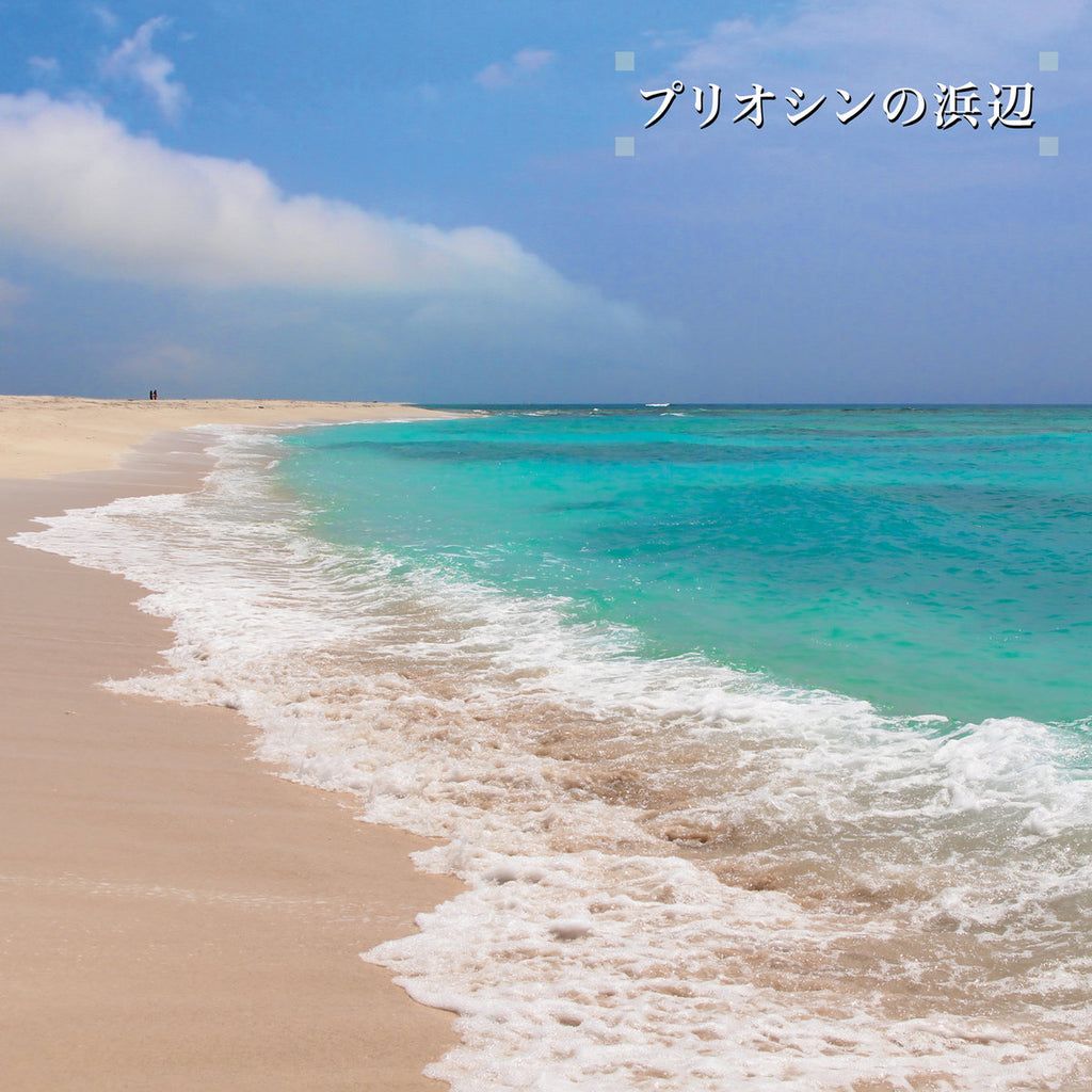 Ken-Ichiro Isoda - Beach Of The Pliocene (2LP)