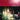 Destroyer - Destroyer's Rubies (2LP)