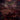 Hyperion - Elysia (CD)