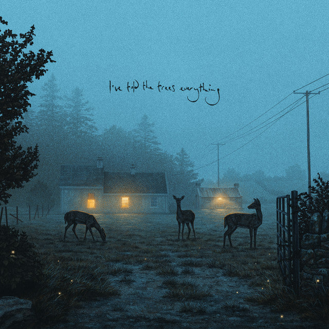 Dermot Kennedy - I've Told The Trees Everything